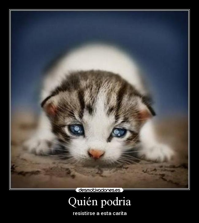 Quién podria - resistirse a esta carita