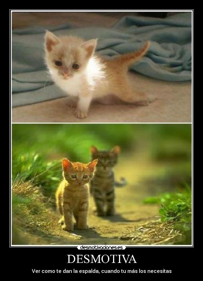 DESMOTIVA - Ver como te dan la espalda, cuando tu más los necesitas