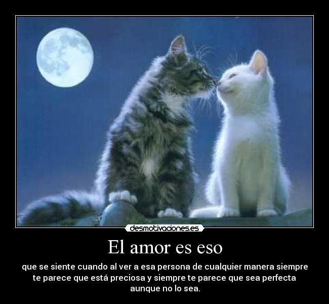 El amor es eso - 