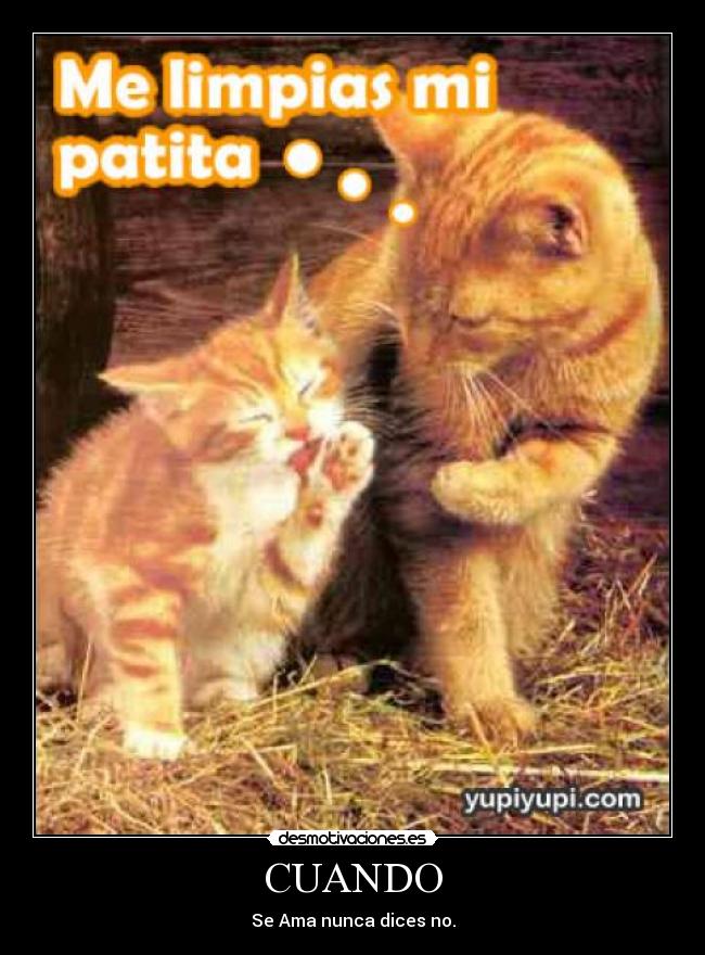 CUANDO - Se Ama nunca dices no.