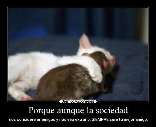 Porque aunque la sociedad - nos considere enemigos y nos vea extraño, SIEMPRE seré tu mejor amigo.