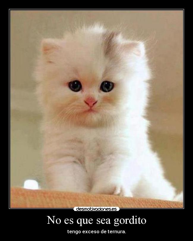 No es que sea gordito -