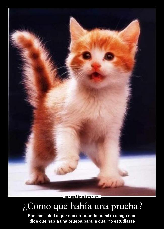 ¿Como que había una prueba? -