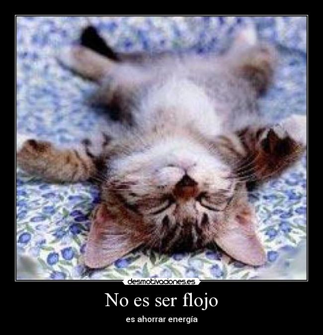 carteles invernando desmotivaciones