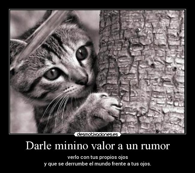 Darle minino valor a un rumor - verlo con tus propios ojos
y que se derrumbe el mundo frente a tus ojos.