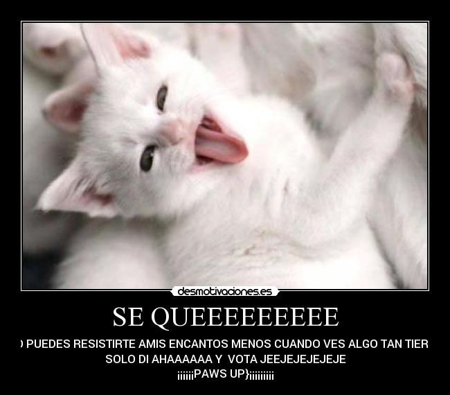 SE QUEEEEEEEEE - NO PUEDES RESISTIRTE AMIS ENCANTOS MENOS CUANDO VES ALGO TAN TIERNO
SOLO DI AHAAAAAA Y  VOTA JEEJEJEJEJEJE
¡¡¡¡¡¡PAWS UP}¡¡¡¡¡¡¡¡¡
