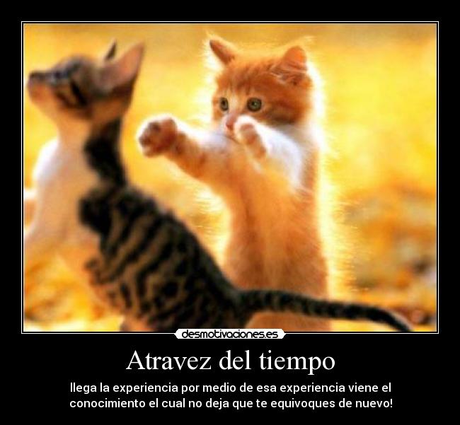 Atravez del tiempo - llega la experiencia por medio de esa experiencia viene el
conocimiento el cual no deja que te equivoques de nuevo!