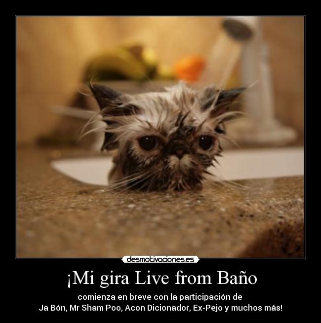 ¡Mi gira Live from Baño -