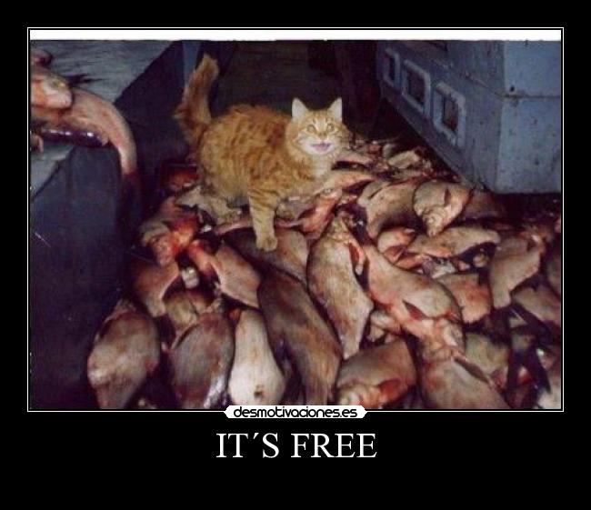 IT´S FREE -