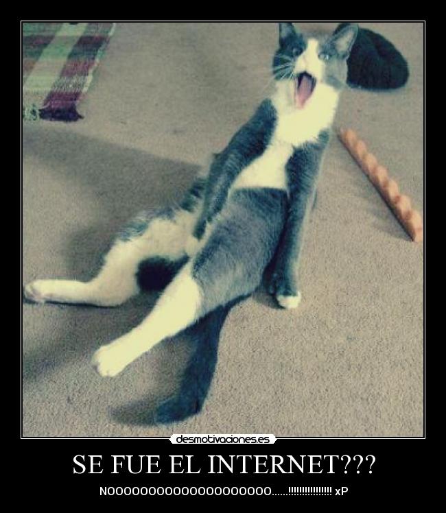 carteles internet sin internet desmotivaciones