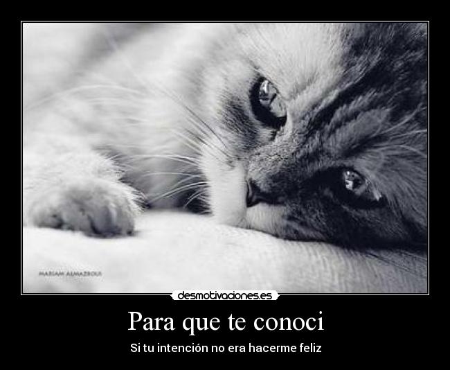Para que te conoci - Si tu intención no era hacerme feliz