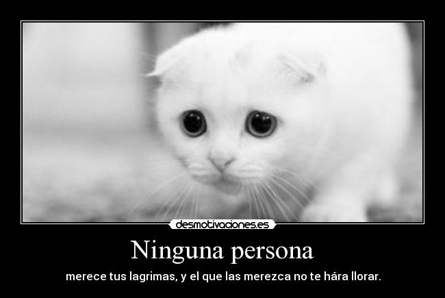 Ninguna persona - merece tus lagrimas, y el que las merezca no te hára llorar.