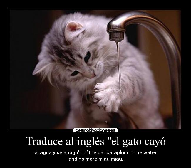 Traduce al inglés el gato cayó - 