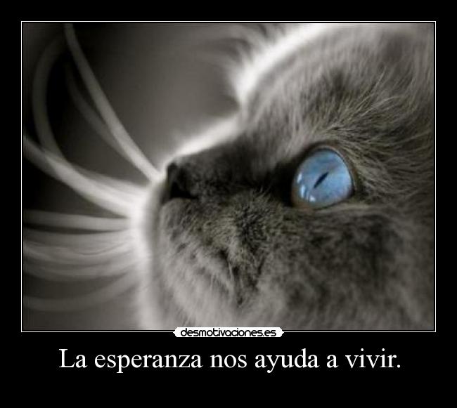 La esperanza nos ayuda a vivir. -