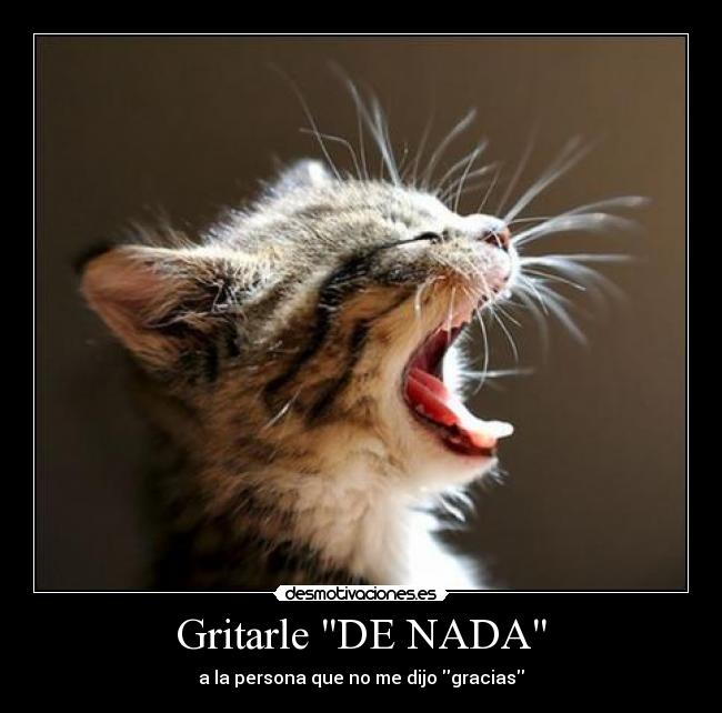 Gritarle DE NADA - 