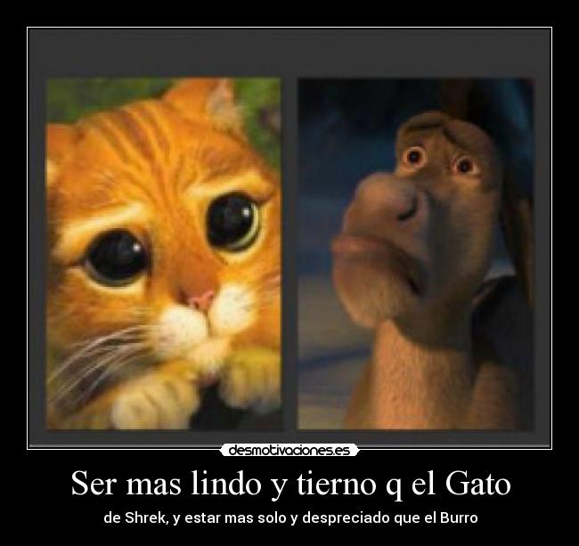 Ser mas lindo y tierno q el Gato - de Shrek, y estar mas solo y despreciado que el Burro