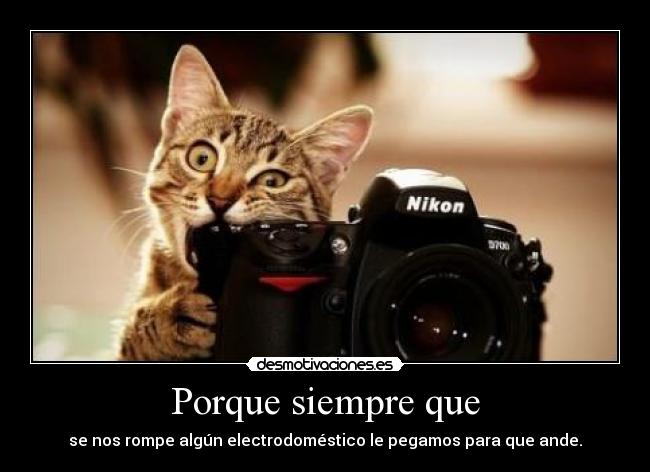 carteles muchas veces funciona desmotivaciones