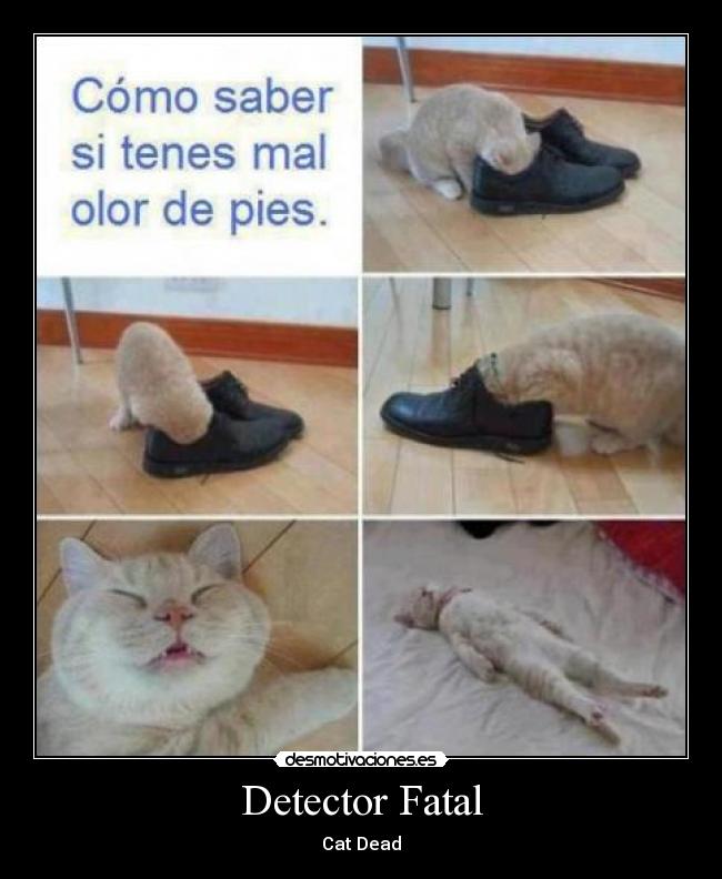 Detector Fatal - Cat Dead