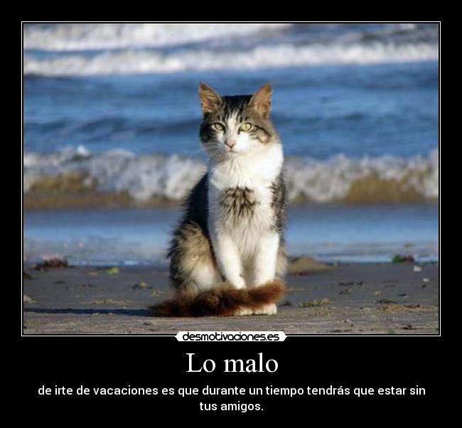 Lo malo -