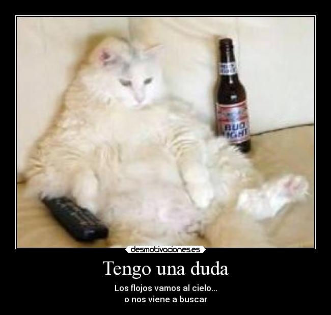 Tengo una duda - 