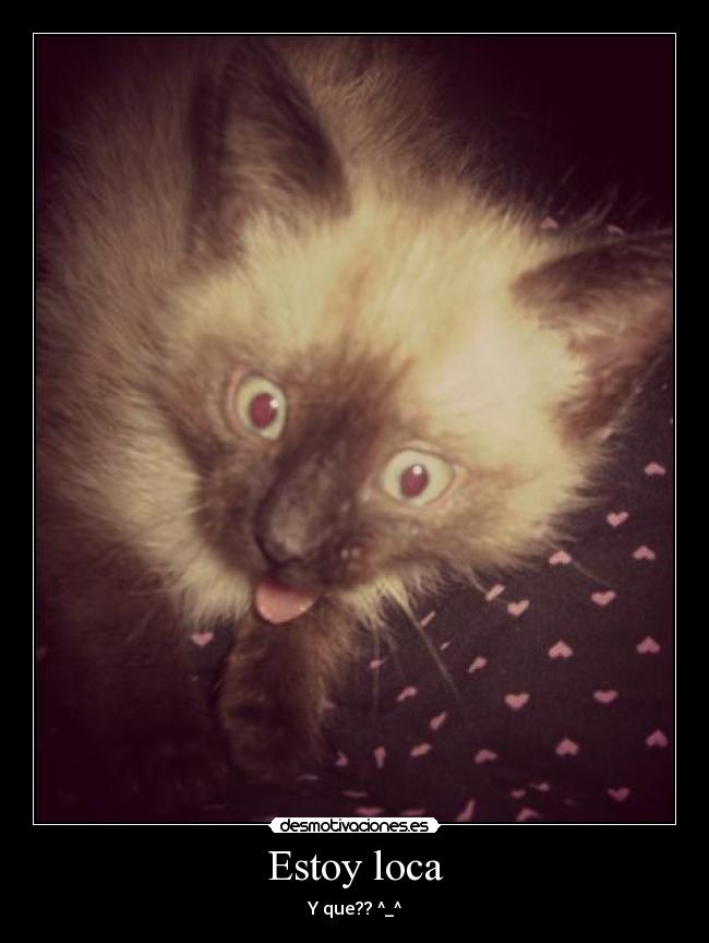 carteles marly torres desmotivaciones