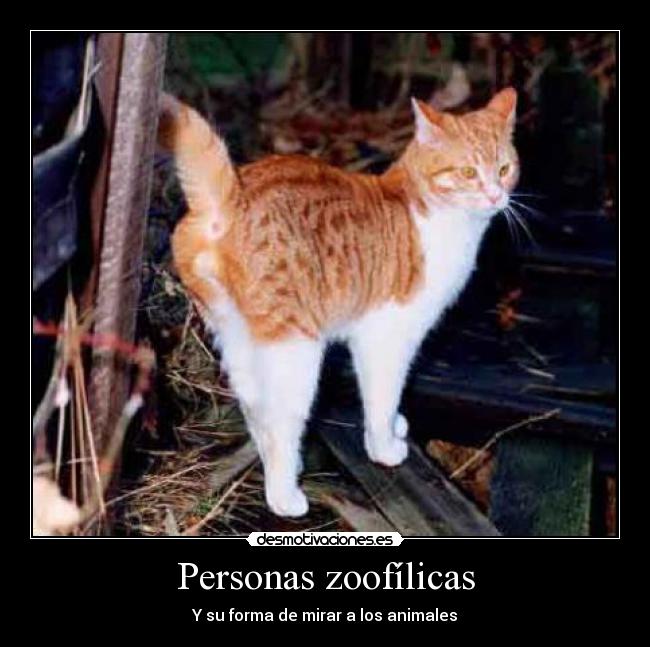 Personas zoofílicas - Y su forma de mirar a los animales