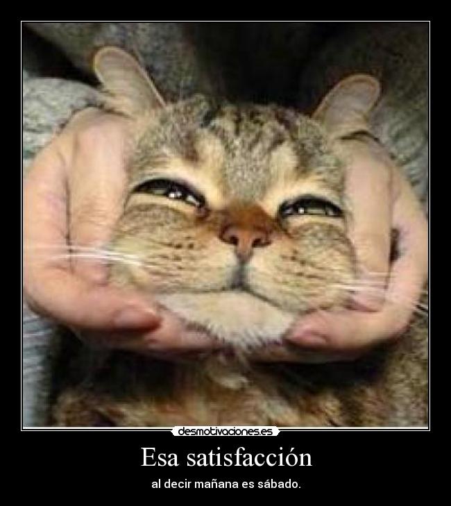 Esa satisfacción - 