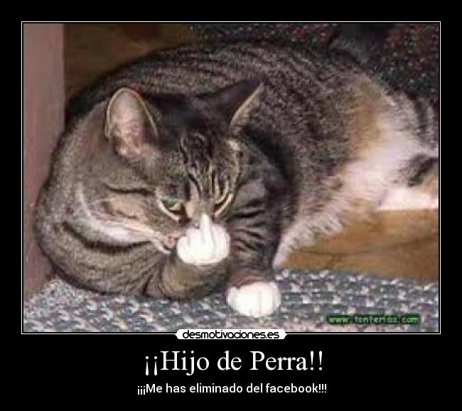 ¡¡Hijo de Perra!! -