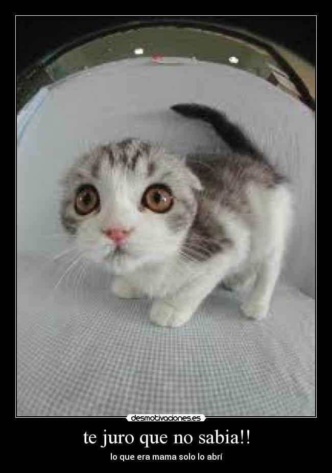 te juro que no sabia!! - lo que era mama solo lo abrí