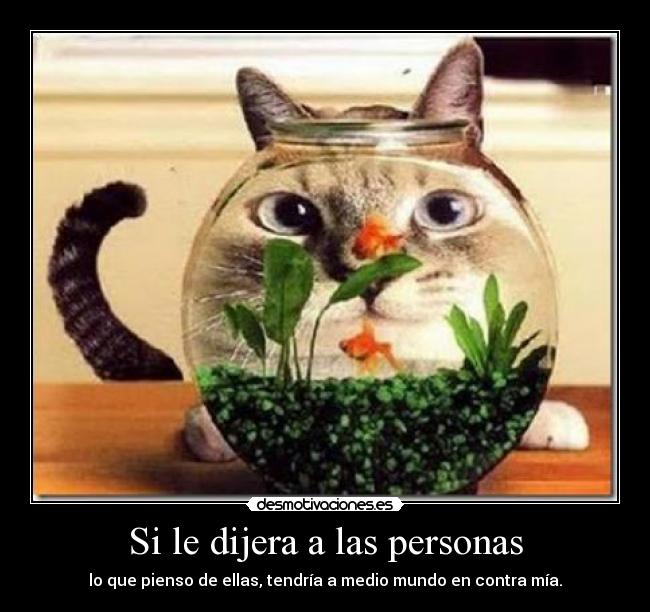 Si le dijera a las personas - 