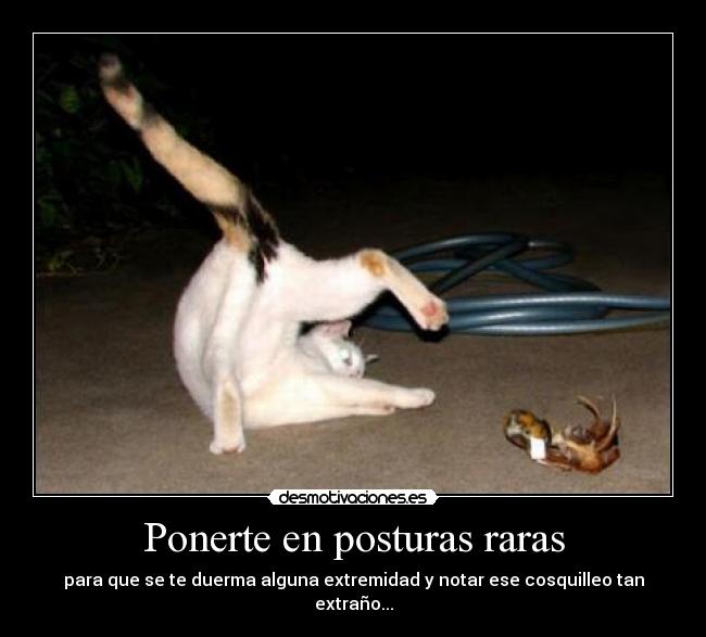 posturas