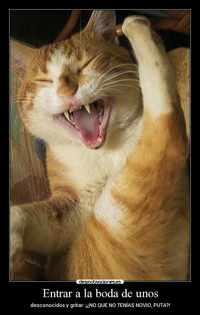 carteles entrar boda unos desmotivaciones