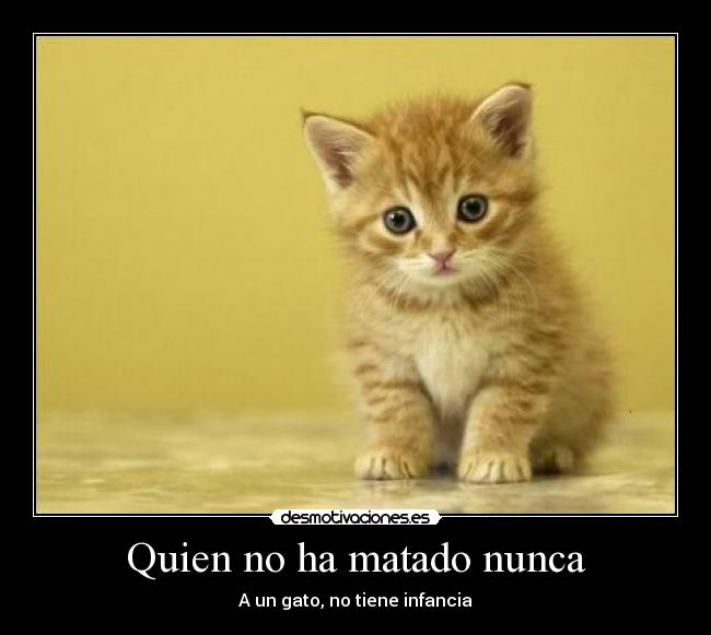 Quien no ha matado nunca - A un gato, no tiene infancia