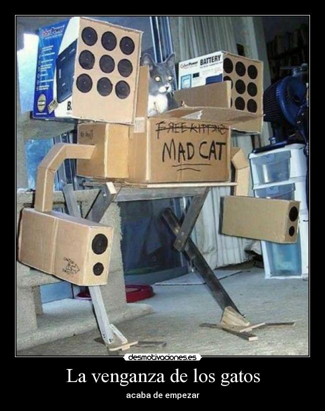 La venganza de los gatos - acaba de empezar