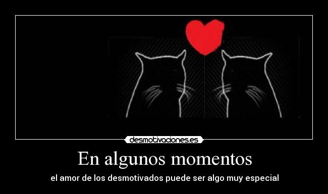 carteles gatossss desmotivaciones