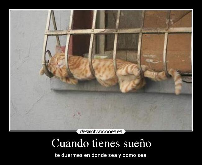 Cuando tienes sueño -