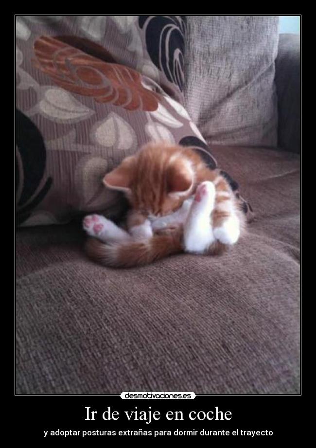 Ir de viaje en coche -