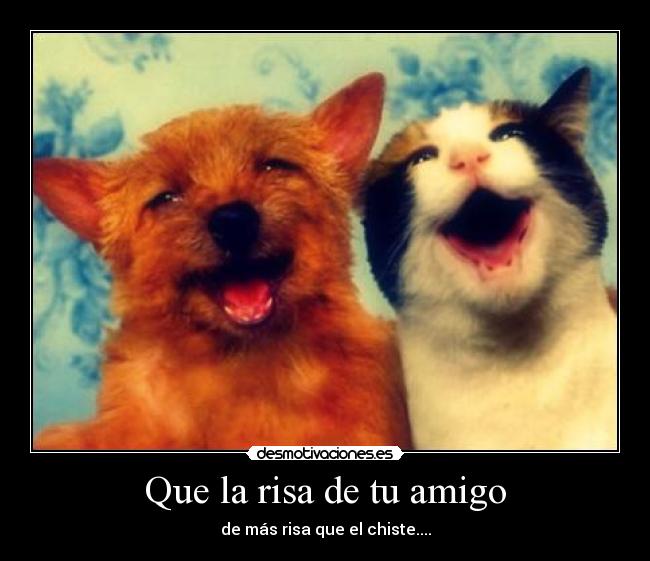 Que la risa de tu amigo - 