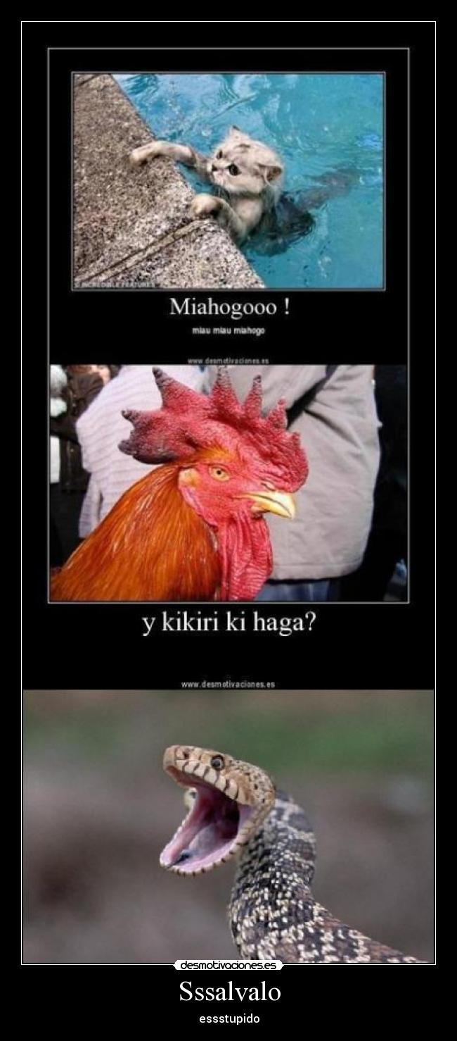 Sssalvalo - essstupido