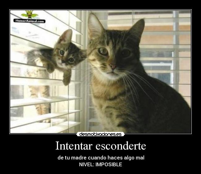 Intentar esconderte - 