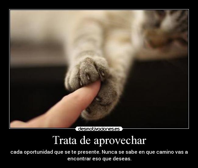 Trata de aprovechar - cada oportunidad que se te presente. Nunca se sabe en que camino vas a
encontrar eso que deseas.