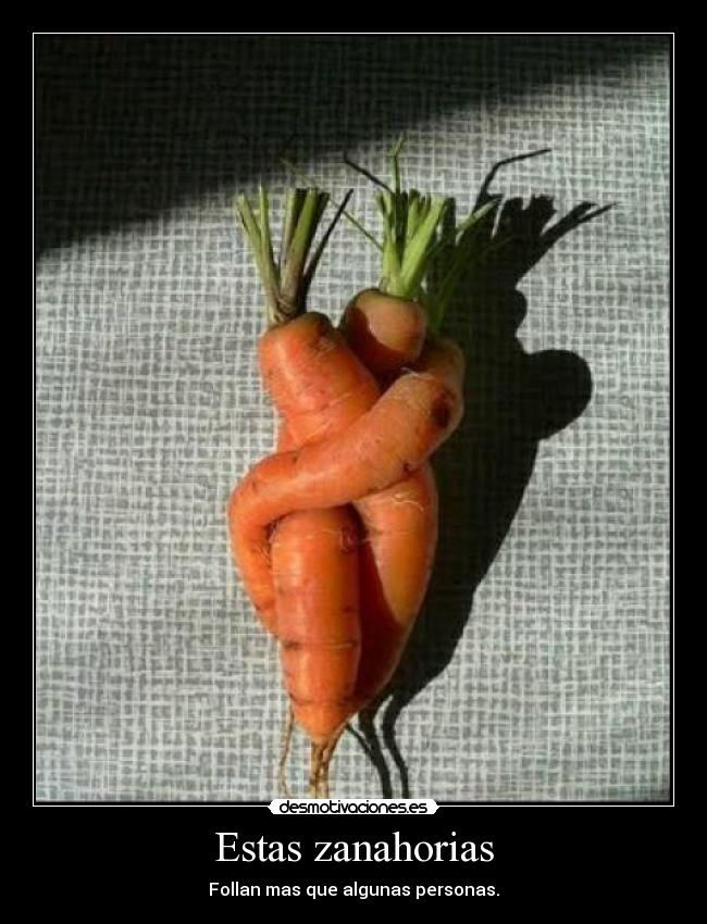 Estas zanahorias - Follan mas que algunas personas.