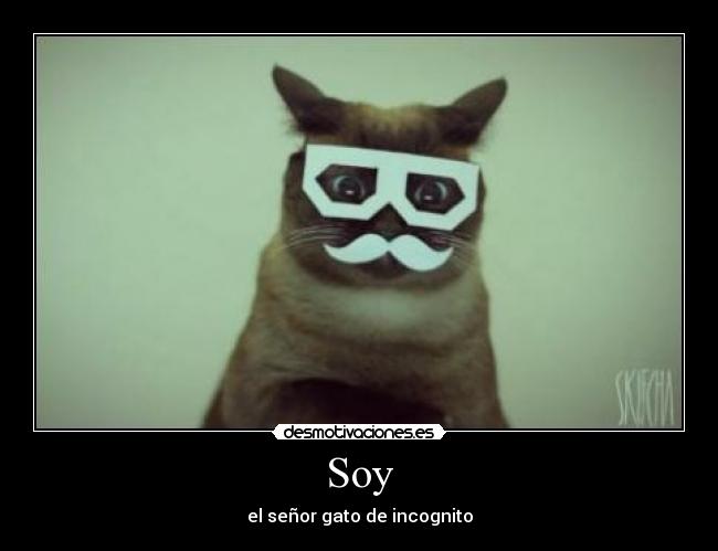 Soy - el señor gato de incognito