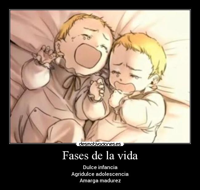 Fases de la vida -