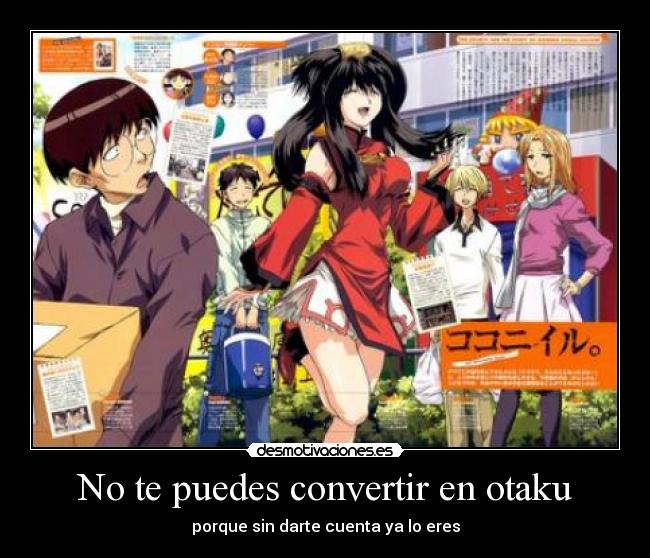 No te puedes convertir en otaku - porque sin darte cuenta ya lo eres