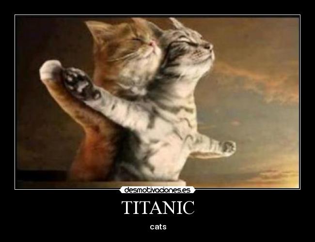 TITANIC - cats