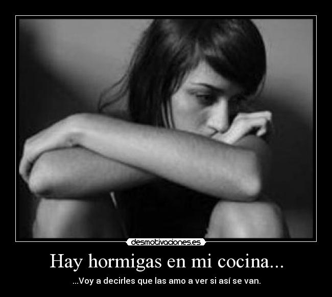 Hay hormigas en mi cocina... - 