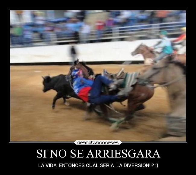 carteles luisdanielgonzaleztorres desmotivaciones