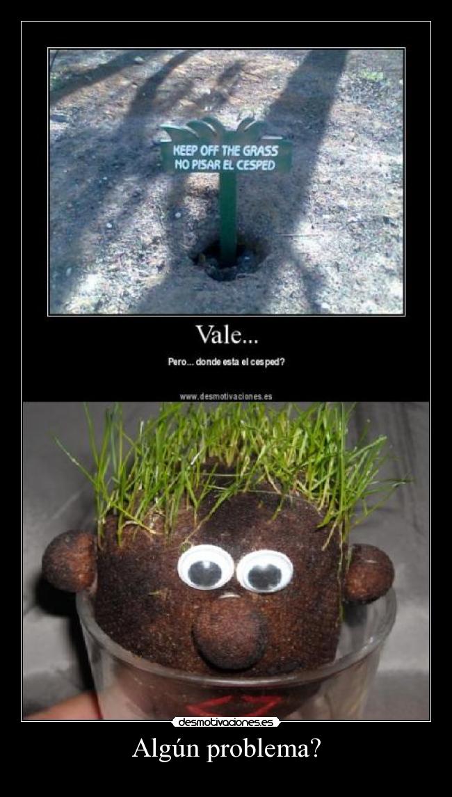 Algún problema? -