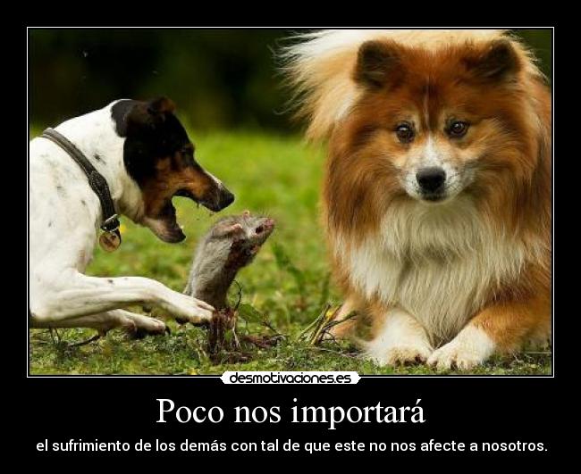 Poco nos importará - 